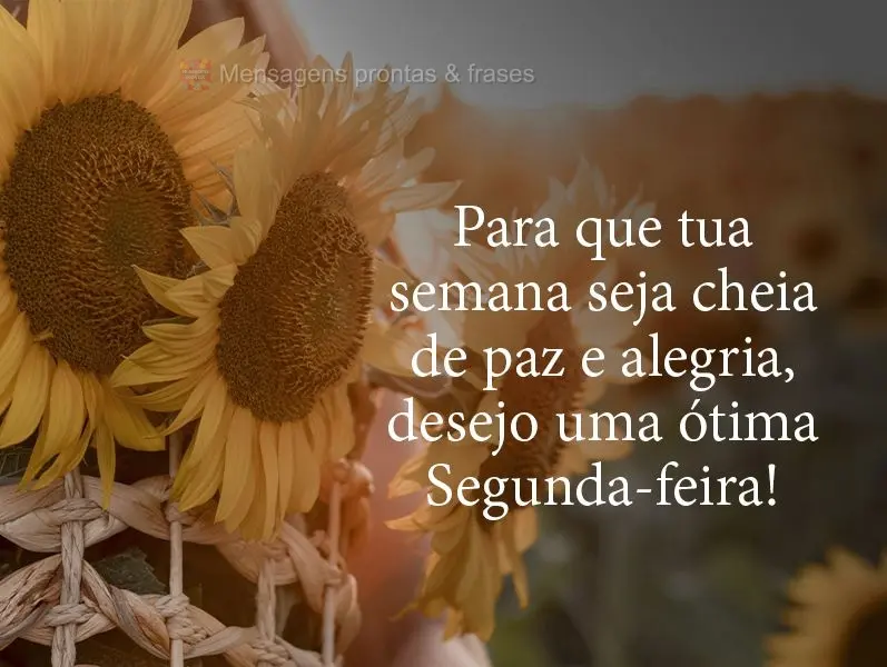 Para que tua semana seja cheia de paz e alegria, desejo uma ótima Segunda-feira!
