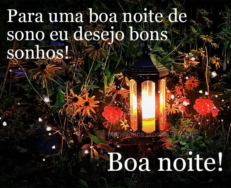 Para uma boa noite de sono eu desejo bons sonhos! 
 Boa noite!
