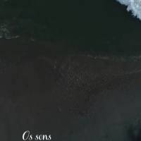 Os sons da natureza são uma melodia que acalma a alma e renova as energias.