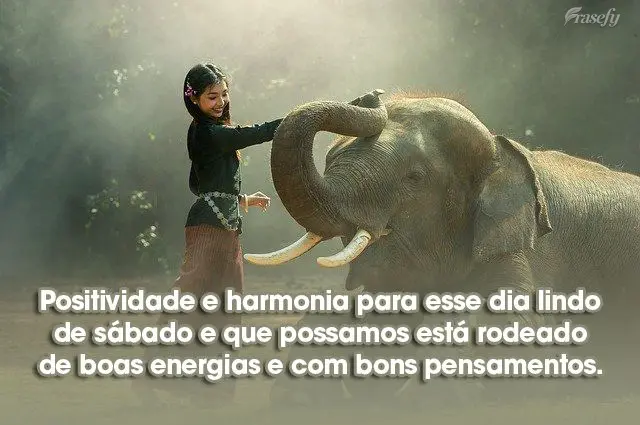 Positividade e harmonia para esse dia lindo de sábado e que possamos estar rodeados de boas energias e com bons pensamentos. 
