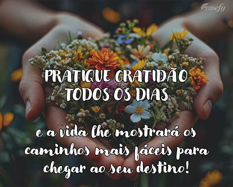 Pratique a gratidão todos os dias e a vida lhe mostrará os caminhos mais fáceis de chegar ao seu destino!