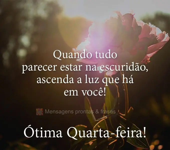 Quando tudo parecer estar na escuridão, ascenda a luz que há em você! 
 Ótima Quarta-feira!