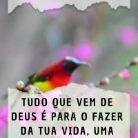 Tudo que vem de Deus é para o fazer da tua vida, uma vida de paz e prosperidade, confie! Feliz Quarta-feira!