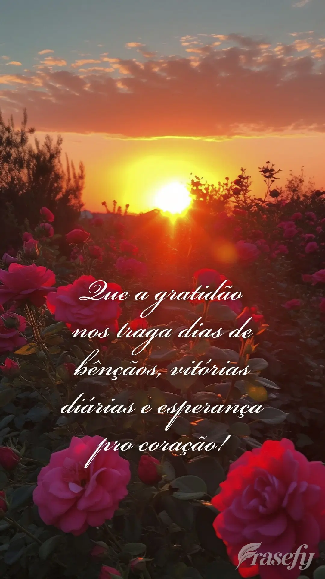 Que a gratidão nos traga dias de bênçãos, vitórias diárias e esperança pro coração!