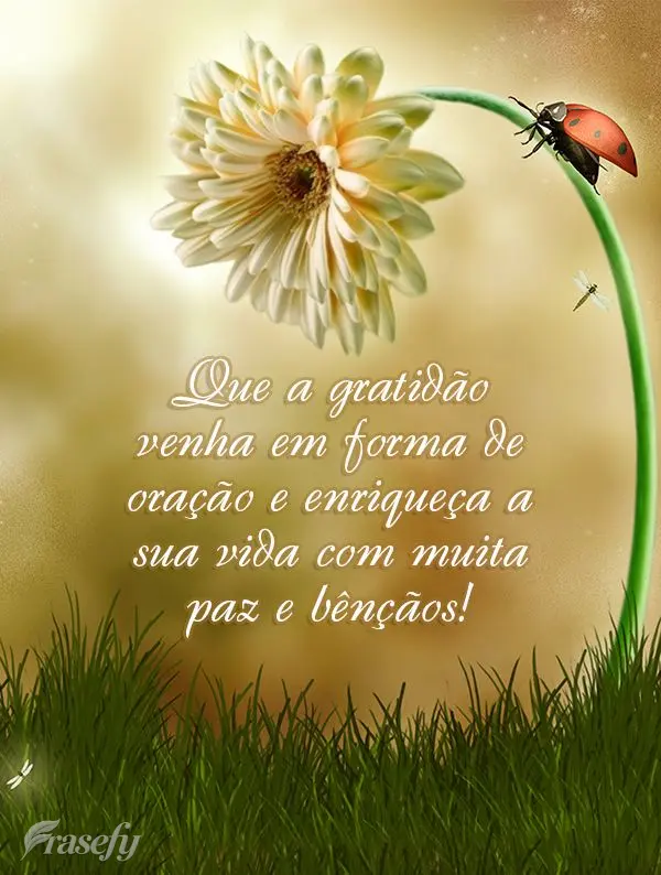 Que a gratidão venha em forma de oração e enriqueça a sua vida com muita paz e bênçãos!