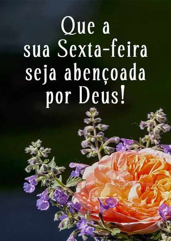 Que a sua Sexta-feira seja abençoada por Deus!
