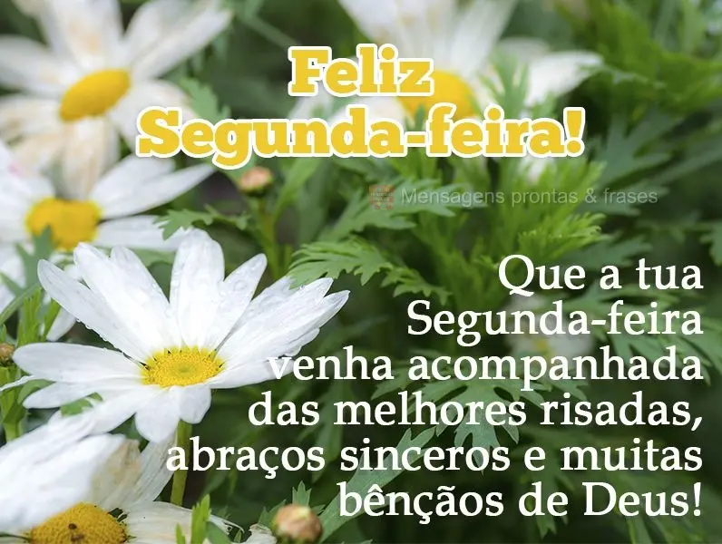Que a tua Segunda-feira venha acompanhada das melhores risadas, abraços sinceros e muitas bênçãos de Deus! 
 Feliz Segunda-feira!