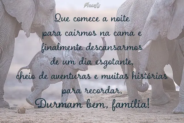 Que comece a noite para cairmos na cama e finalmente descansarmos de um dia esgotante, cheio de aventuras e muitas histórias para recordar. Durmam bem, ...