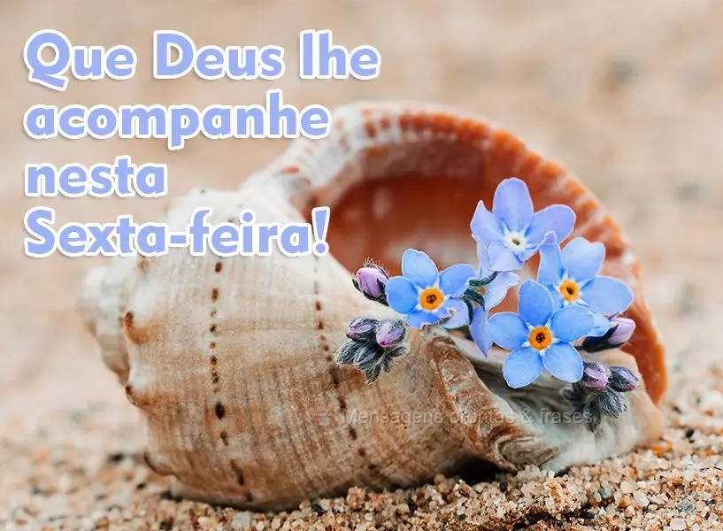 Que Deus lhe acompanhe nesta Sexta-feira! 
