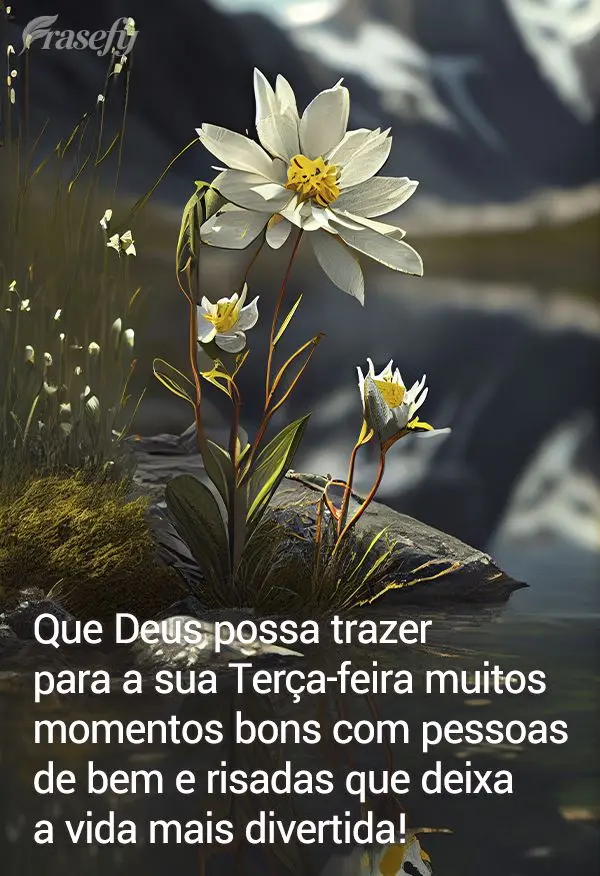 Que Deus possa trazer para a sua Terça-feira muitos momentos bons com pessoas de bem e risadas que deixa a vida mais divertida!