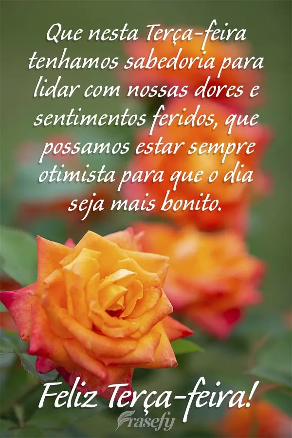 Que nesta Terça-feira tenhamos sabedoria para lidar com nossas dores e sentimentos feridos, que possamos estar sempre otimista para que o dia seja mais ...
