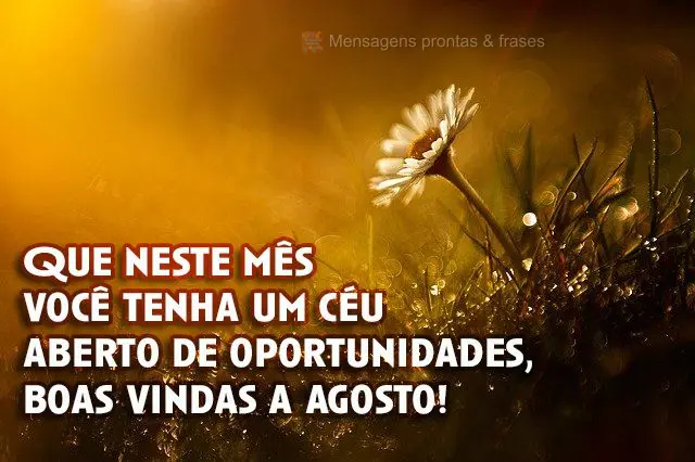 Que neste mês você tenha um céu aberto de oportunidades, boas vindas a agosto! 
