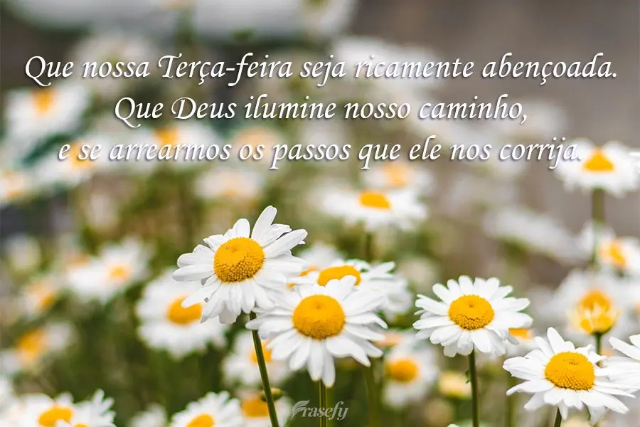Que nossa Terça-feira seja ricamente abençoada. Que Deus ilumine nosso caminho, e se arrearmos os passos que ele nos corrija. 