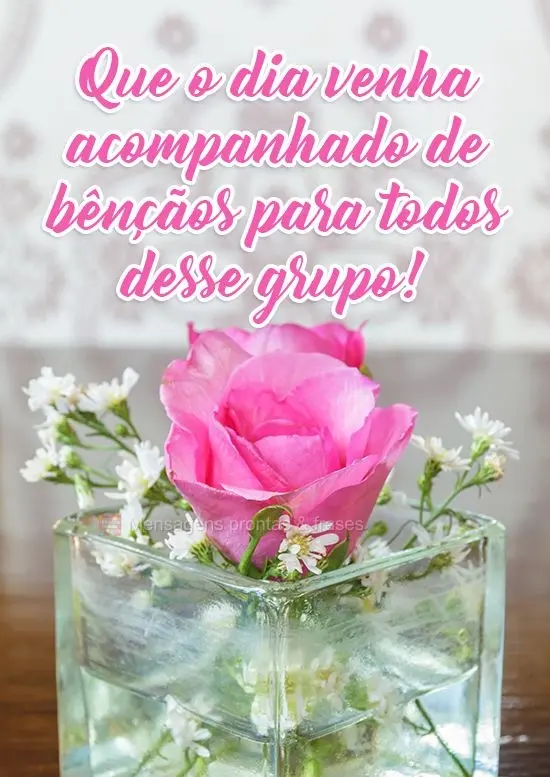 Que o dia venha acompanhado de bênçãos para todos desse grupo!
