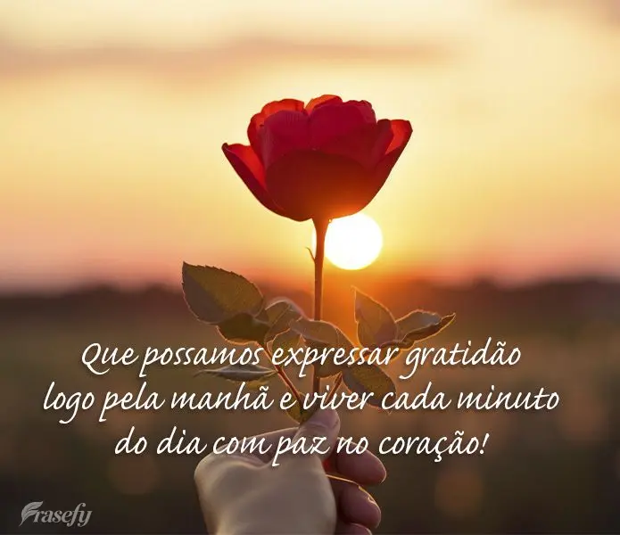 Que possamos expressar gratidão logo pela manhã e viver cada minuto do dia com paz no coração!