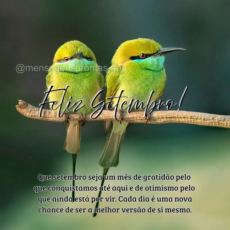 Que setembro seja um mês de gratidão pelo que conquistamos até aqui e de otimismo pelo que ainda está por vir. Cada dia é uma nova chance de ser a m...