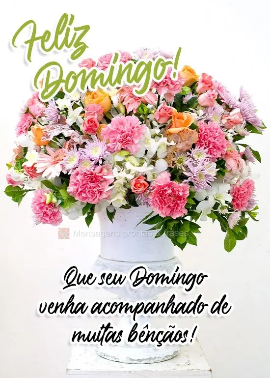 Que seu Domingo venha acompanhado de muitas bênçãos!
 Feliz Domingo! 
