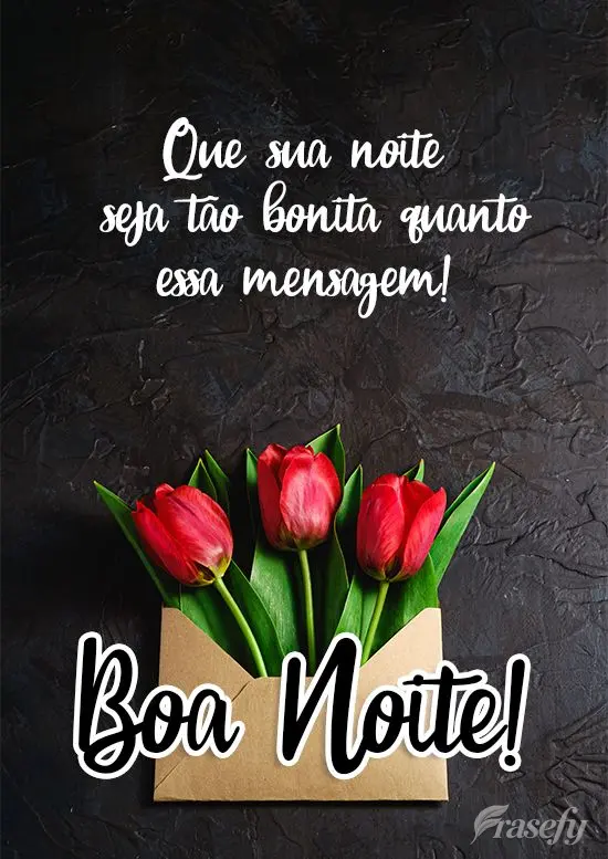 Que sua noite seja tão bonita quanto essa mensagem! Boa Noite!
