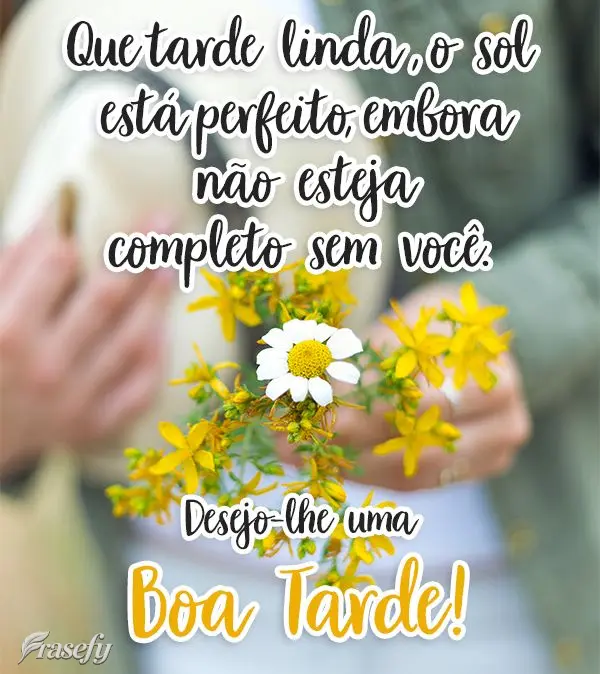 Que tarde linda! O sol está perfeito, embora não esteja completo sem você. Desejo-lhe uma  Boa Tarde!

