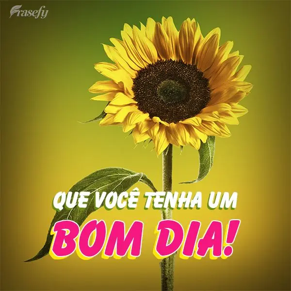 Que você tenha um bom dia!