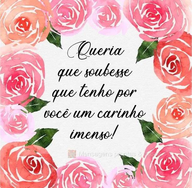 Queria que soubesse que tenho por você um carinho imenso!
