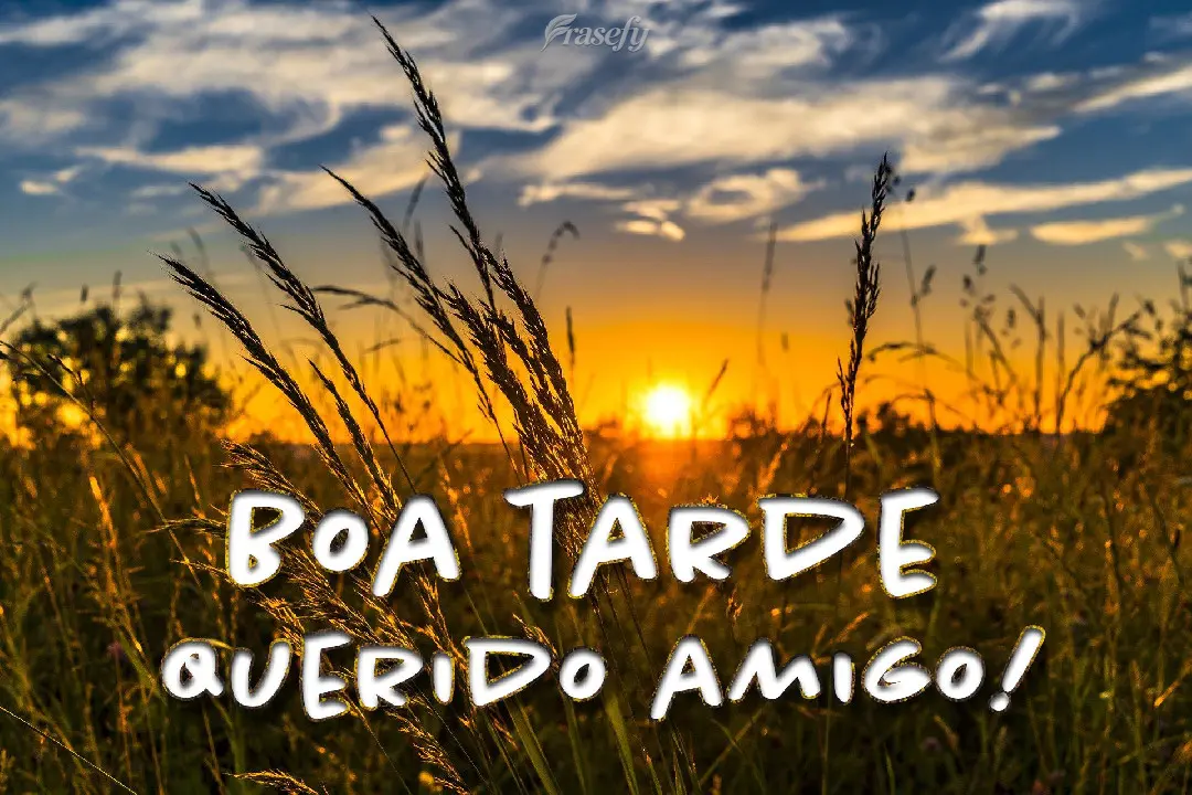 Querido amigo! Boa Tarde