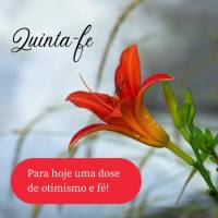 Para hoje uma dose de otimismo e fé! Quinta-feira