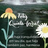 Que haja tranquilidade em seu dia, que haja também paz, harmonia e gratidão, porque você merece as melhores coisas que agradam o coração! Feliz Quin...