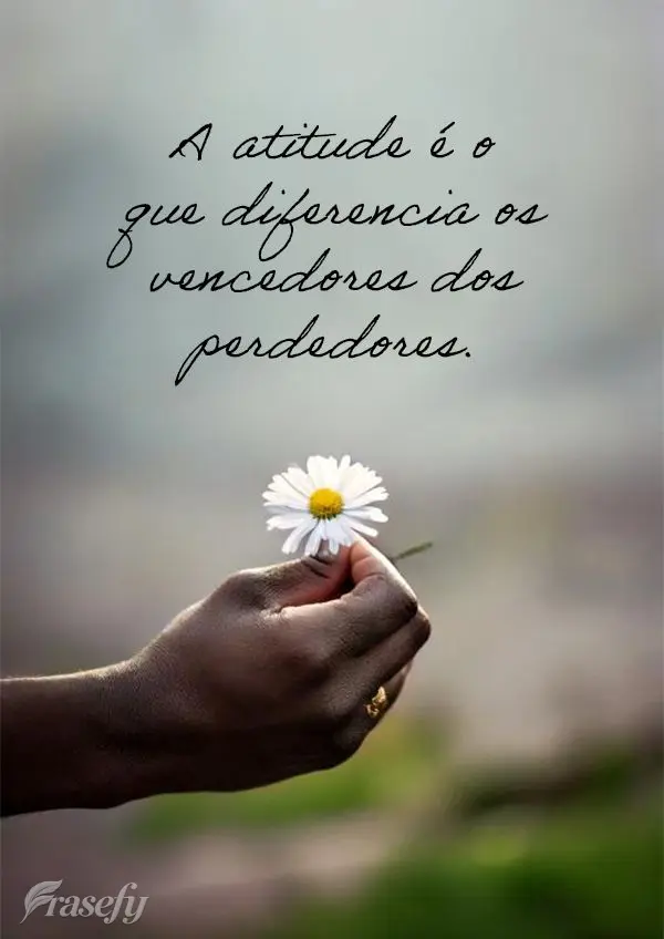 A atitude é o que diferencia os vencedores dos perdedores.