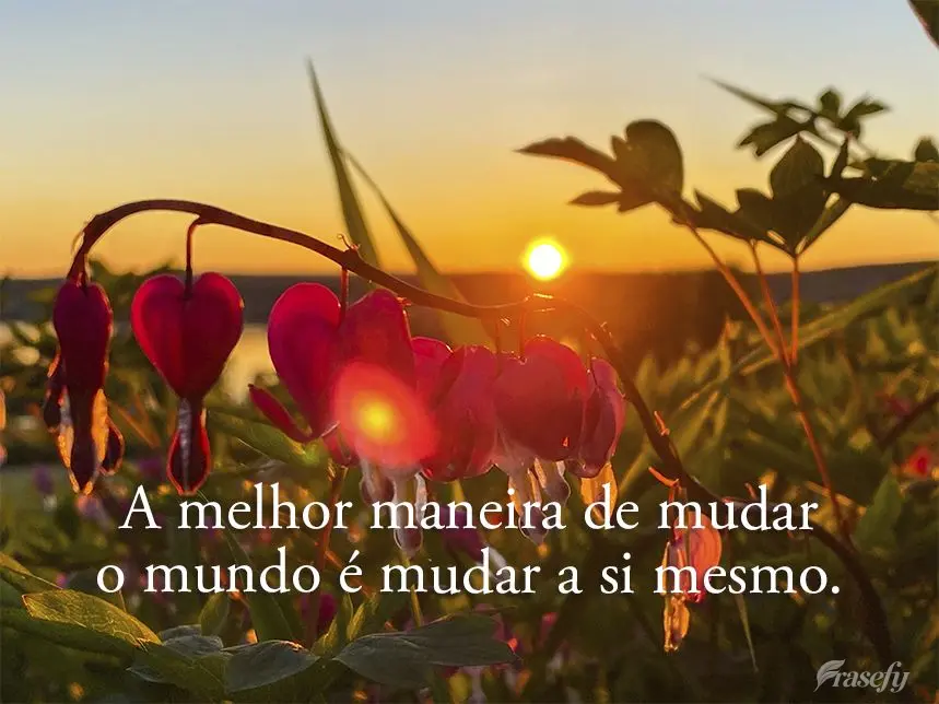 A melhor maneira de mudar o mundo é mudar a si mesmo.