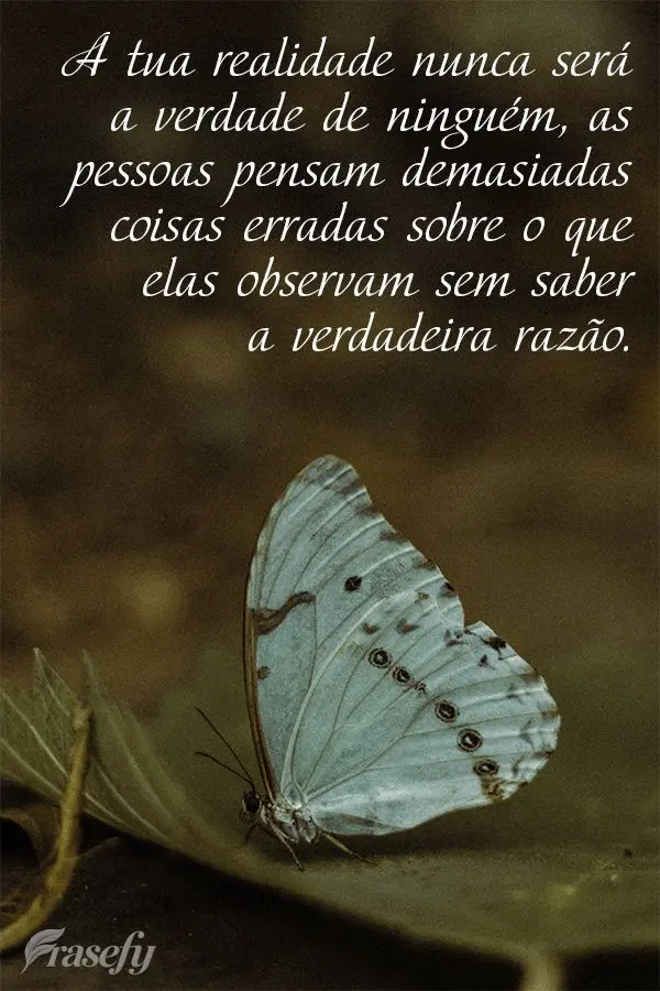 A tua realidade nunca será a verdade de ninguém. As pessoas pensam demasiadas coisas erradas sobre o que elas observam, sem saber a verdadeira razão....