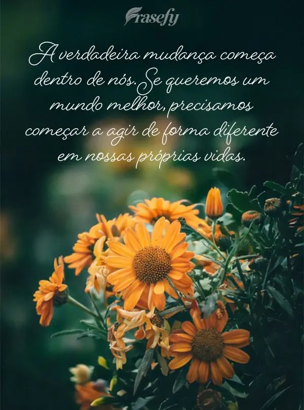 "A verdadeira mudança começa dentro de nós. Se queremos um mundo melhor, precisamos começar a agir de forma diferente em nossas próprias vidas."