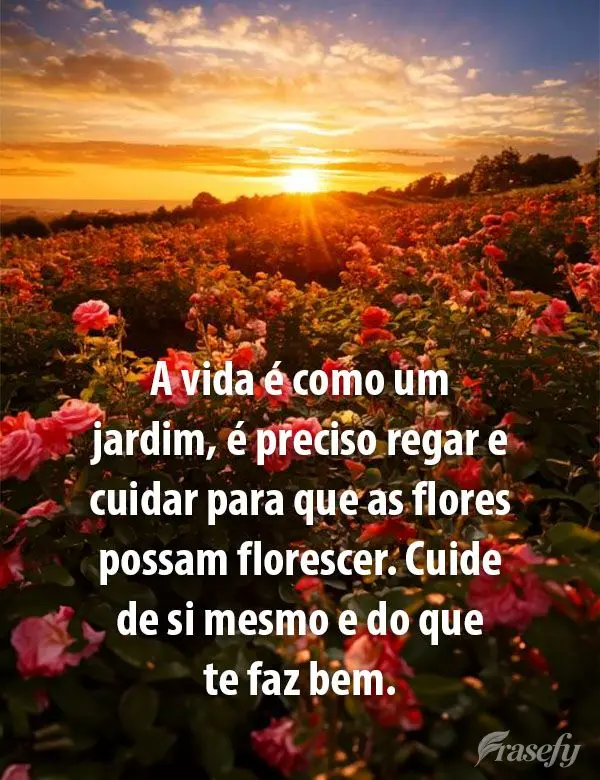 A vida é como um jardim, é preciso regar e cuidar para que as flores possam florescer. Cuide de si mesmo e do que te faz bem.