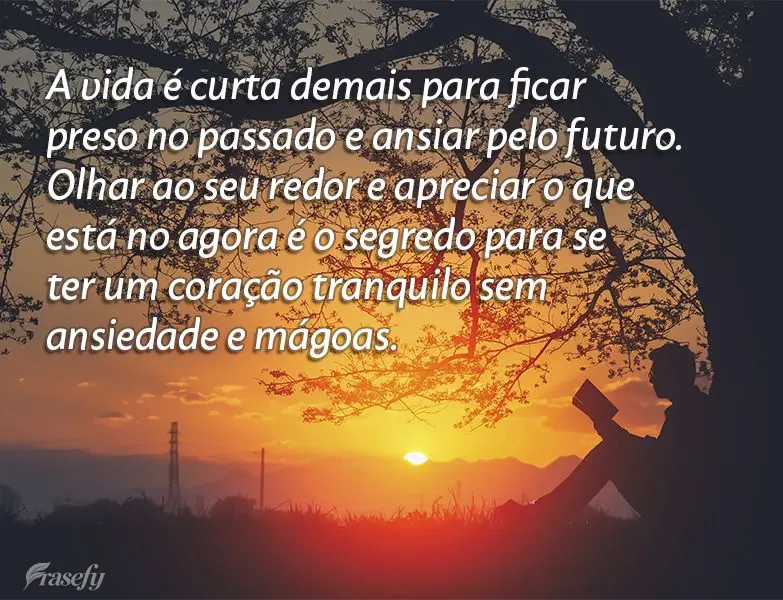 A vida é curta demais para ficar preso no passado e ansiar pelo futuro. Olhar ao seu redor e apreciar o que está no agora é o segredo para se ter um c...