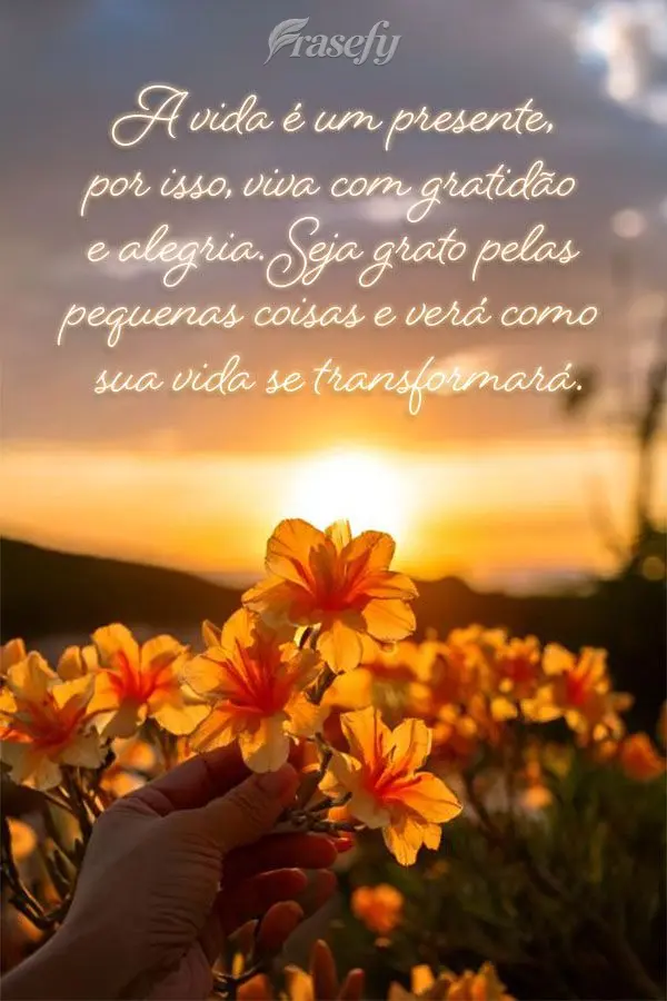 A vida é um presente, por isso, viva com gratidão e alegria. Seja grato pelas pequenas coisas e verá como sua vida se transformará.