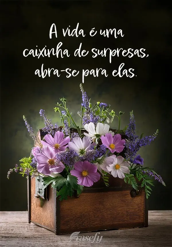 A vida é uma caixinha de surpresas, abra-se para elas.