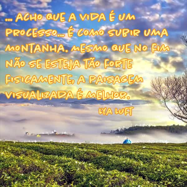 Acho que a vida é um processo... É como subir uma montanha. Mesmo que no fim não esteja tão forte fisicamente, a paisagem visualizada é melhor. Lya ...