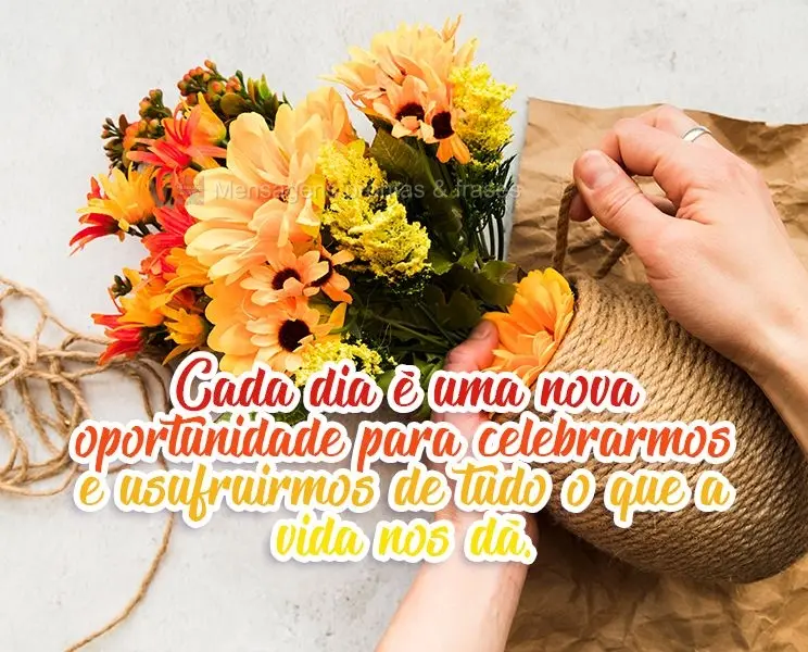 Cada dia é uma nova oportunidade para celebrarmos e usufruirmos de tudo o que a vida nos dá.
