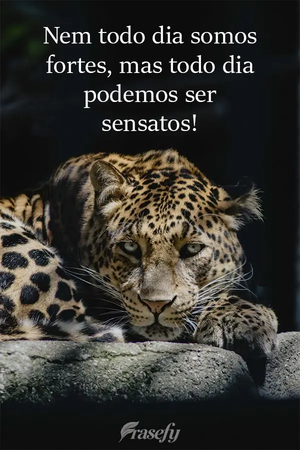 Nem todo dia somos fortes, mas todo dia podemos ser sensatos!