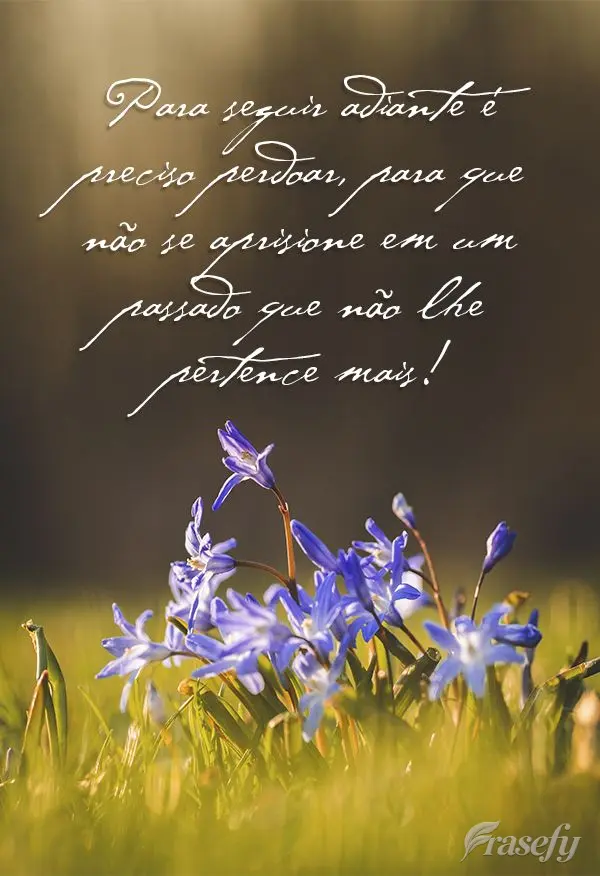 Para seguir adiante é preciso perdoar, para que não se aprisione em um passado que não lhe pertence mais!