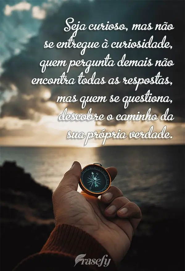 Seja curioso, mas não se entregue à curiosidade, quem pergunta demais não encontra todas as respostas, mas quem se questiona, descobre o caminho da su...