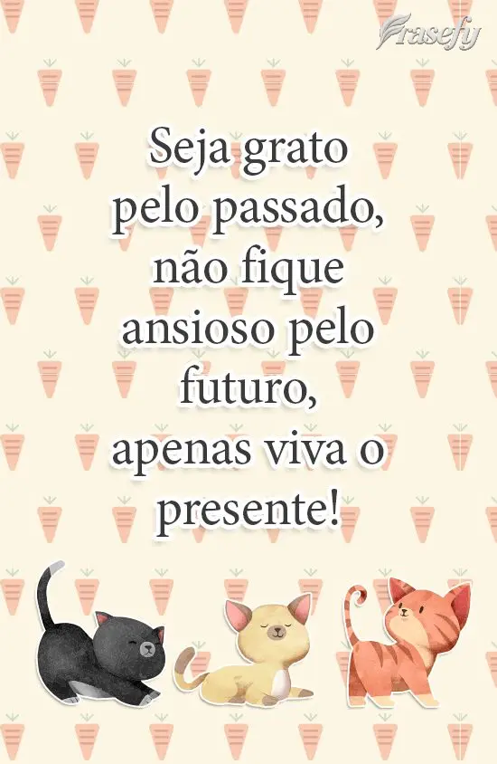 Seja grato pelo passado, não fique ansioso pelo futuro, apenas viva o presente! 
