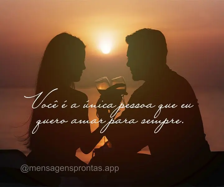 Você é a única pessoa que eu quero amar para sempre.
