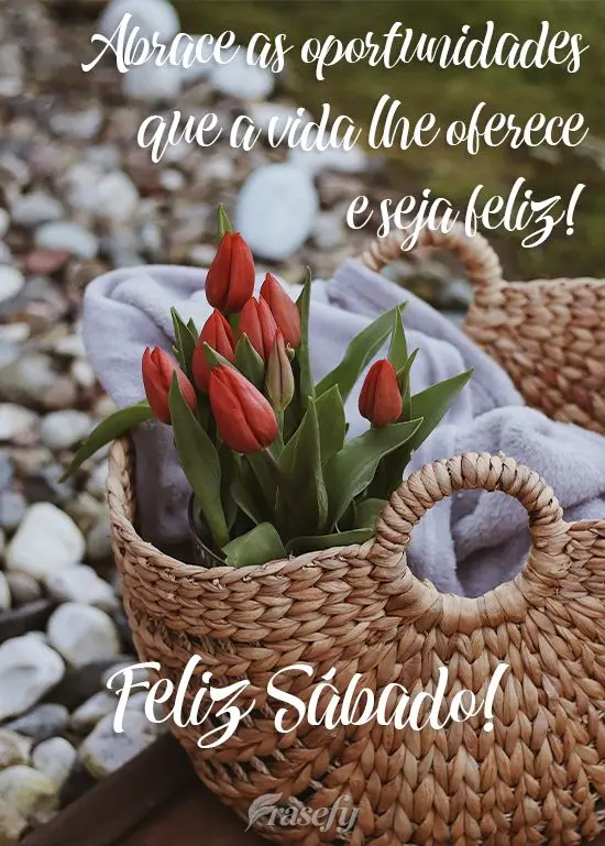 Abrace as oportunidades que a vida lhe oferece e seja feliz! 
 Feliz Sábado!