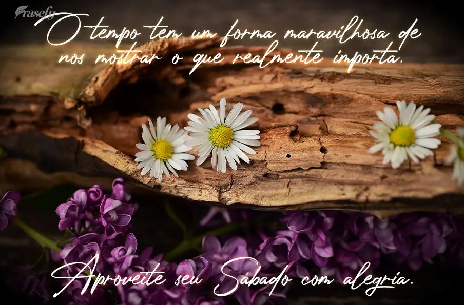 O tempo tem uma forma maravilhosa de nos mostrar o que realmente importa.  Aproveite seu Sábado com alegria.