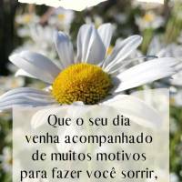Que o seu dia venha acompanhado de muitos motivos para fazer você sorrir, e inspirar as pessoas que estão torcendo por você! Feliz Sábado! 