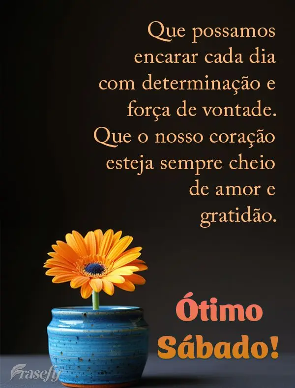 Que possamos encarar cada dia com determinação e força de vontade. Que o nosso coração esteja sempre cheio de amor e gratidão. Ótimo Sábado!