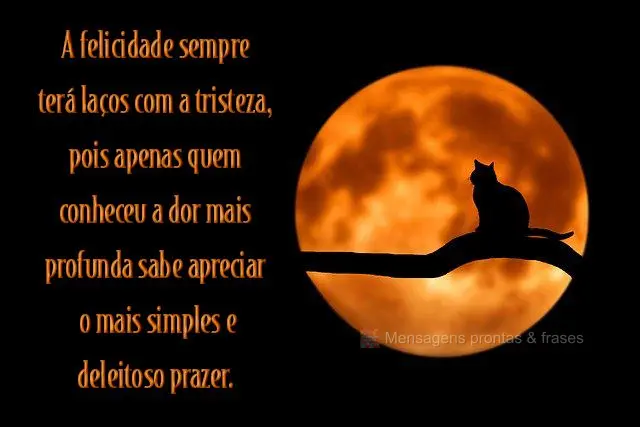 A felicidade sempre terá laços com a tristeza, pois apenas quem conheceu a dor mais profunda sabe apreciar o mais simples e deleitoso prazer.
