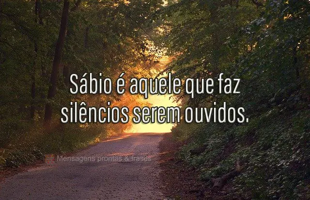 Sábio é aquele que faz silêncios serem ouvidos.
