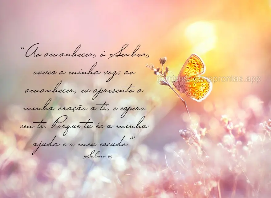 "Ao amanhecer, ó Senhor, ouves a minha voz; ao amanhecer, eu apresento a minha oração a ti, e espero em ti. Porque tu és a minha ajuda e o meu escudo...